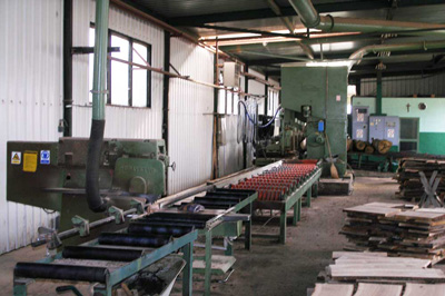 Primarna_proizvodnja-pilana-prorez_trupaca