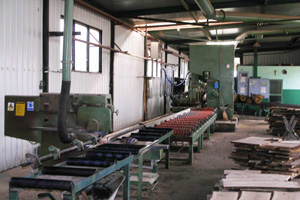 Primarna_proizvodnja-pilana-prorez_trupaca