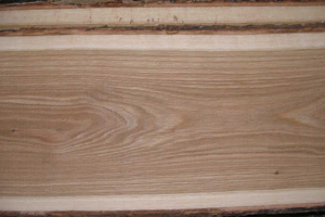 Primarna_proizvodnja-pilana-prorez_trupaca